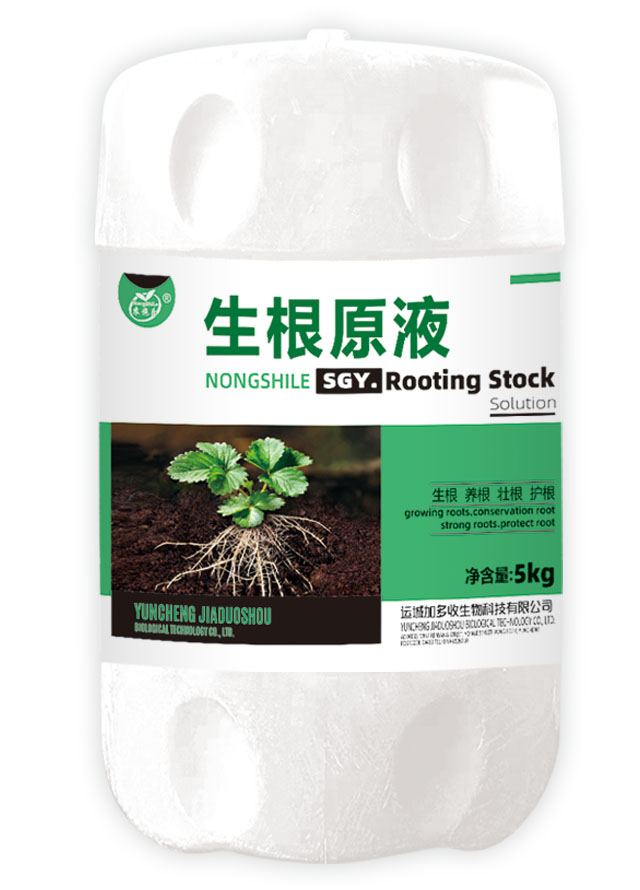 生根原液5kg