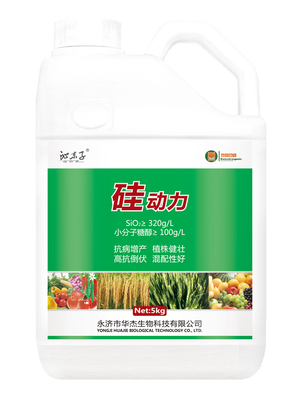 硅動力 5kg