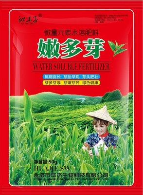 嫩多芽50g