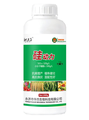 硅動力1000g