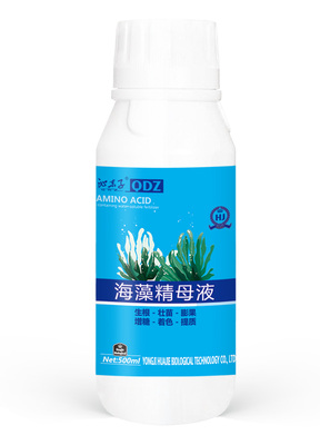 海藻精母液500ml