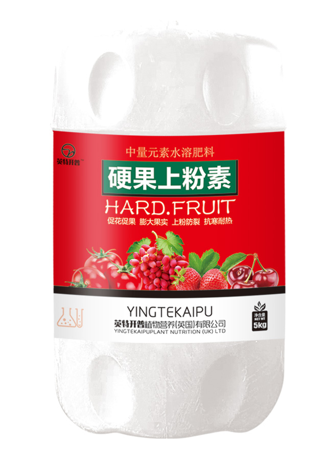 硬果上粉素5kg