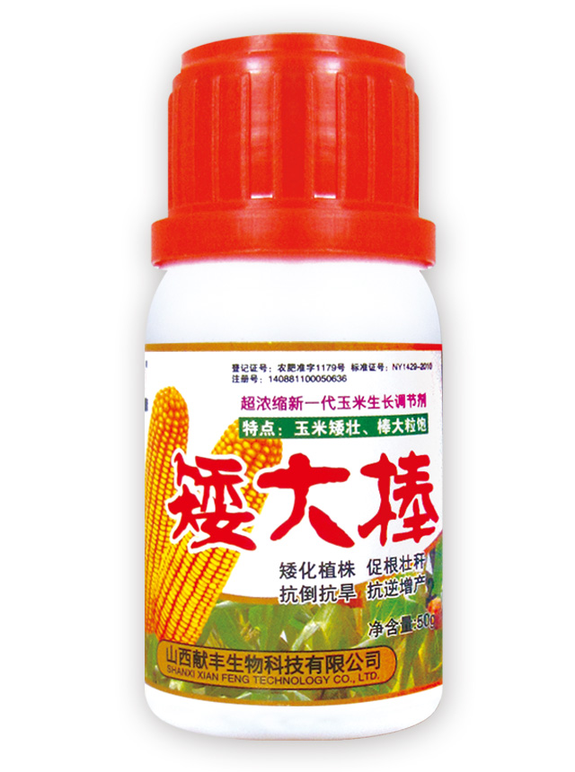 矮大棒