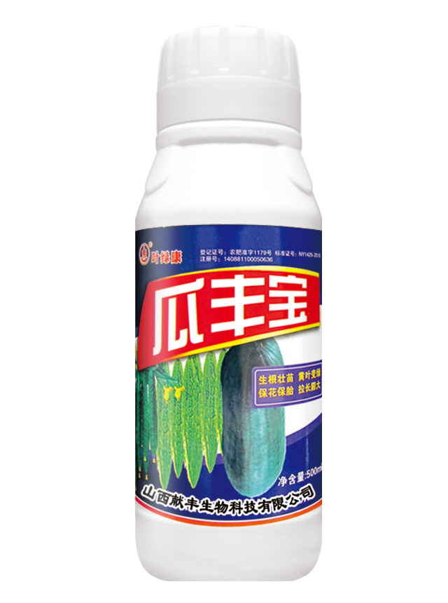 瓜丰宝