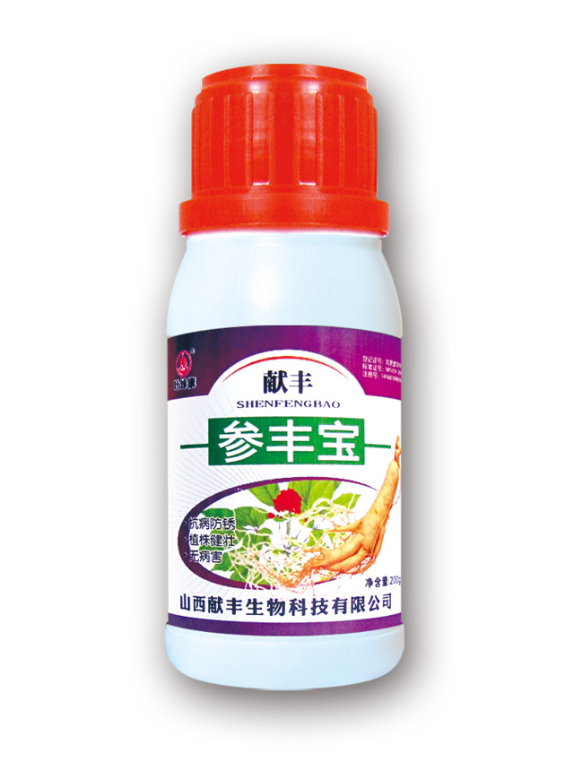 参丰宝