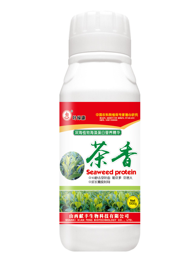 茶香