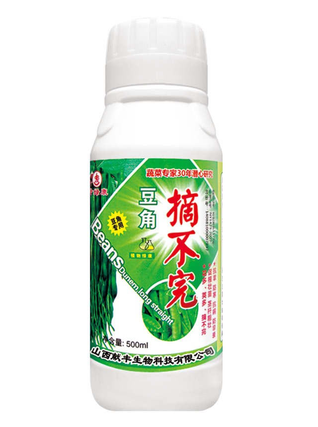 豆角摘不完