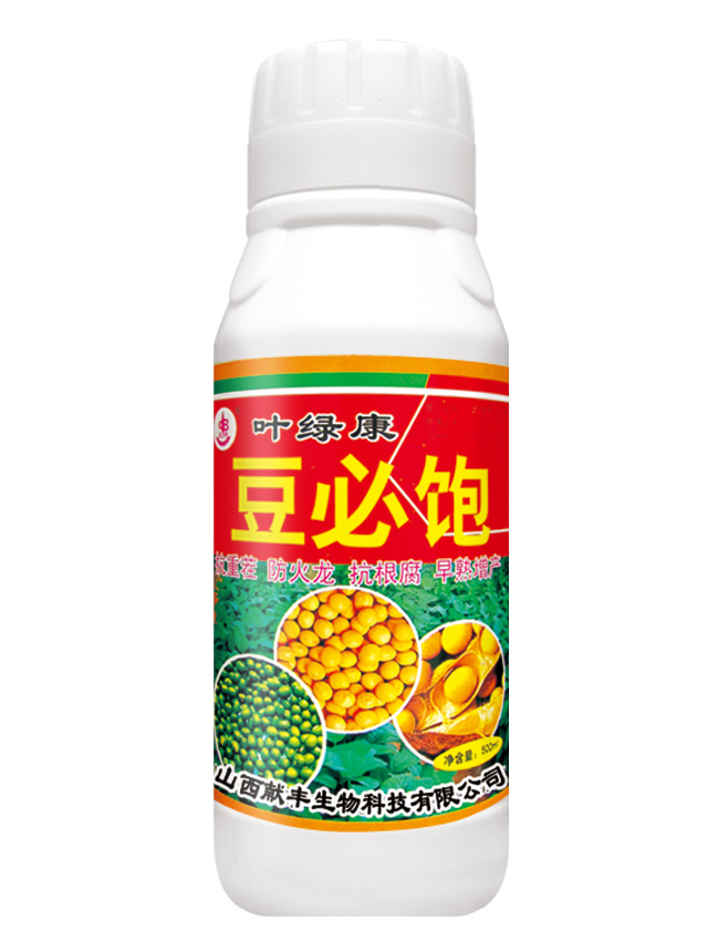 豆必饱