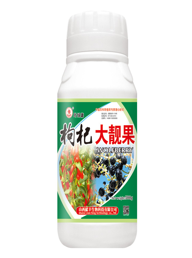 枸杞大靓果