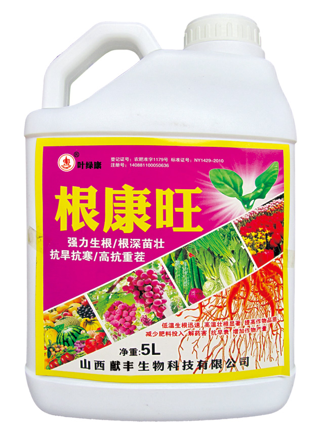 根康旺