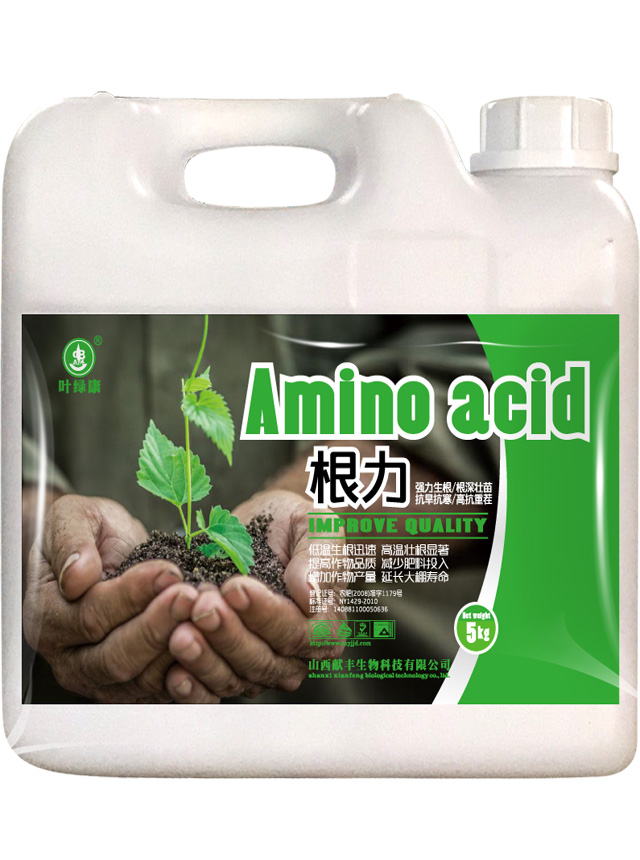 根力
