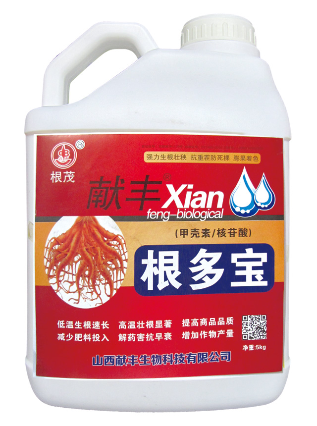 根多宝